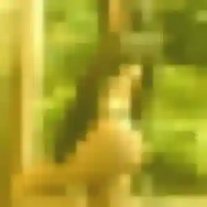Wilhelmine, 19 ans, connectée à Agde pour un rencontre coquine