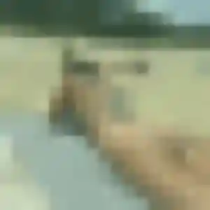 Rosalie (36 ans) à Aigues-Mortes cherche une rencontre maintenant