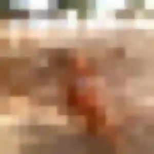 rencontre coquine à Aire-sur-la-Lys : profil de Claire, 44 ans - accès libre