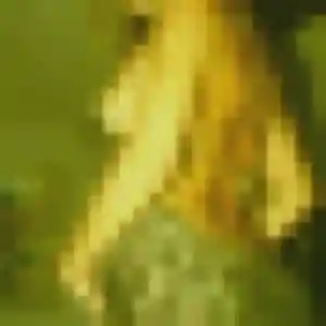 Profil de Anne-Marie à Amnéville (39 ans) - rencontre coquine discret
