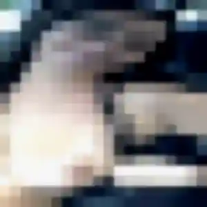 rencontre coquine à Apatou : photo de Frederique, 25 ans - accès libre