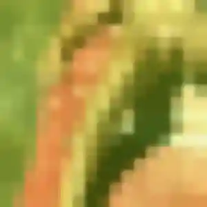 Tiffany, femme de 43 ans propose rencontre coquine à Arras
