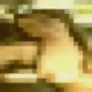 Romina de Avrillé, 44 ans - rencontre coquine discret