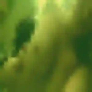 Photo exclusive de Pierrette, 26 ans à Bagneux - plan discret