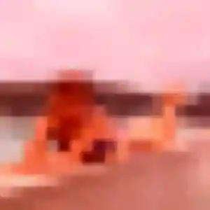 Rencontre Rachida, 33 ans à Baillargues en privé