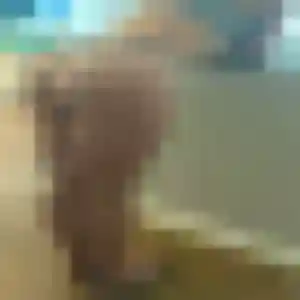 Juliette, 38 ans, cherche un rencontre coquine à Baisieux