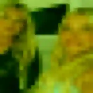 Stephanie (35 ans) à Beauvoisin propose une rencontre maintenant