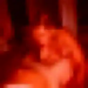 Flavia, fille de 24 ans cherche rencontre coquine à Blain