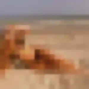 Photo privée de Celine, 42 ans à Bondoufle - rencontre coquine