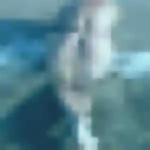 Madeleine (39 ans) à Boucau attend une rencontre ce soir