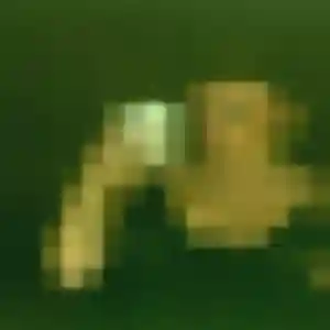 Profil de Maeva à Bouguenais (38 ans) - rencontre coquine gratuit