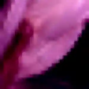 Photo de Yasmina à Bouillante (42 ans) - rencontre coquine sans inscription