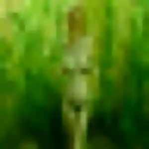 Zina, 40 ans, disponible à Calais pour un rencontre coquine