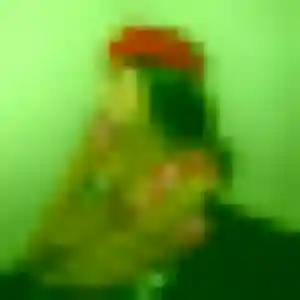 rencontre coquine à Calvisson : profil de Delice, 19 ans - sans engagement