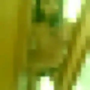 Djamila, fille de 40 ans veut rencontre coquine à Cappelle-la-Grande