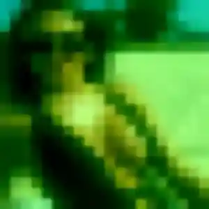 Corinne, 39 ans, dispo pour rencontre coquine à Caudebec-lès-Elbeuf