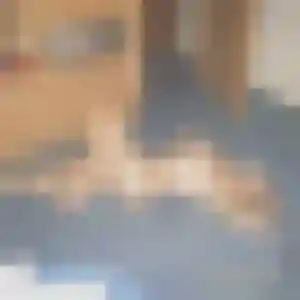 Domitille, 33 ans, cherche un rencontre coquine à Chambourcy