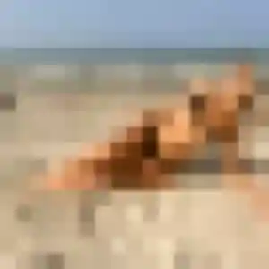 Flavie, 22 ans, connectée à Champagne-sur-Seine pour une rencontre coquine