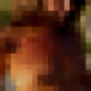 Lisette, 34 ans, cherche un rencontre coquine à Chaponost