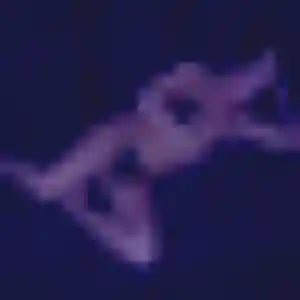 Profil de Severine à Châteaudun (30 ans) - rencontre coquine gratuit