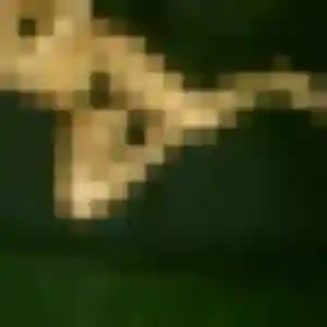 Photo de Dounia à Châteaulin (40 ans) - rencontre coquine gratuit