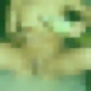 Agathe, femme de 33 ans veut rencontre coquine à Coulogne