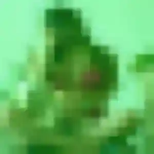 Profil de Svetlana à Dinard (19 ans) - rencontre coquine discret