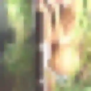 Hermine, femme de 45 ans veut rencontre coquine à Donzère