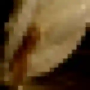 Photo de Marie-Jeanne à Eaunes (38 ans) - rencontre coquine sans inscription
