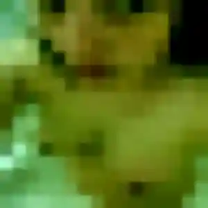 Profil de Thais à Eckbolsheim (22 ans) - rencontre coquine sans inscription