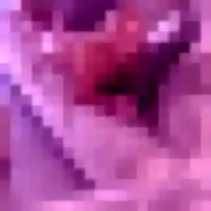 Photo de Sofia à Elne (39 ans) - rencontre coquine anonyme