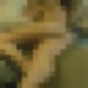 rencontre coquine à Embrun : photo de Uranie, 43 ans - sans engagement