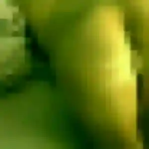 Laurence de Entraigues-sur-la-Sorgue, 24 ans - rencontre coquine sans lendemain