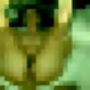 Sarah, 31 ans, connectée à Entraigues-sur-la-Sorgue pour une rencontre coquine