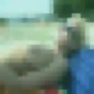 Dounia, femme de 37 ans veut rencontre coquine à Fenouillet