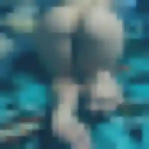 Profil de Mylene à Figeac (35 ans) - rencontre coquine discret
