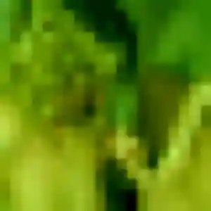 Khadija (39 ans) à Fillière cherche un rencontre coquine ce soir