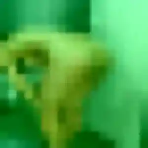 Gisele, 44 ans, connectée à Fleury-les-Aubrais pour une rencontre coquine