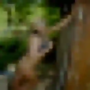 Sexy Eleonore, 32 ans à Florange - la contacter