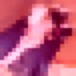 Celeste de Fontenay-sous-Bois, 32 ans - rencontre coquine sans prise de tête