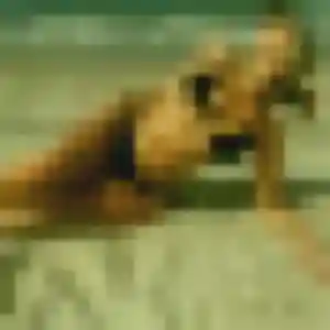 Profil de Marilou à Fosses (21 ans) - rencontre coquine discret