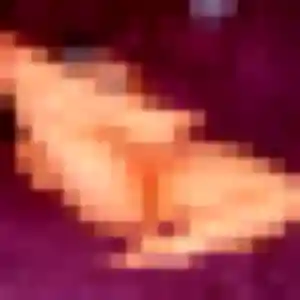 Photo de Zelda à Garges-lès-Gonesse (22 ans) - rencontre coquine anonyme