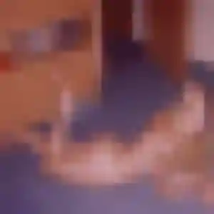 Profil de Yannick à Issy-les-Moulineaux (29 ans) - rencontre coquine anonyme