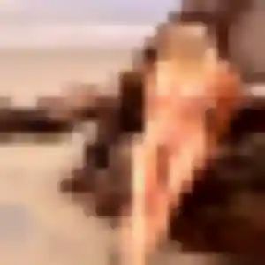 Ximena (43 ans) à Jeumont attend un rencontre coquine maintenant