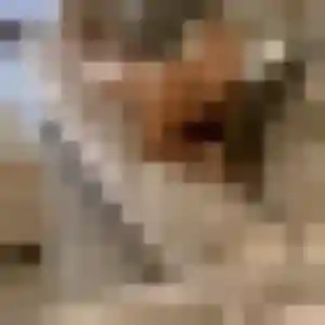 Photo privée de Martine, 20 ans à Jonage - rencontre coquine