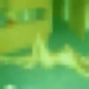 Profil de Perrine à Juvisy-sur-Orge (28 ans) - rencontre coquine sans inscription