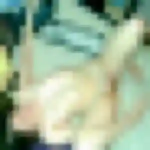 Contacte Josephine, 21 ans à La Ferté Macé gratuitement