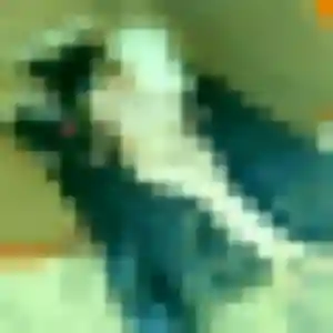 Flore, femme de 40 ans cherche rencontre coquine à La Madeleine