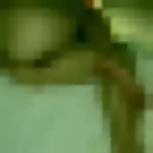 Albane, 36 ans, cherche un rencontre coquine à La Teste-de-Buch