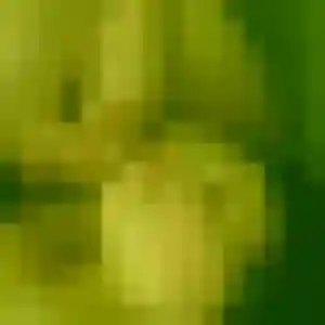 Romina, 42 ans, disponible à La Verrière pour une rencontre coquine